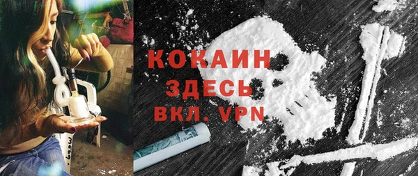 сатива Алзамай