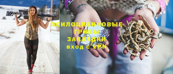 сатива Алзамай