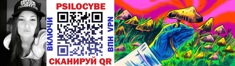Галлюциногенные грибы Psilocybine cubensis сколько стоит mega ТОР Махачкала